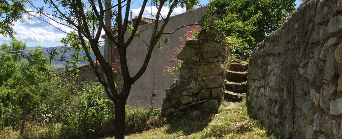 Garden in Seillons-Source d'Argens - Provence - South of France - Département du Var